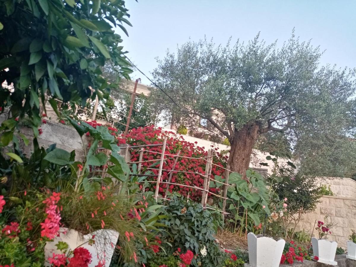 Apartmani Bosco Tivat Exterior foto